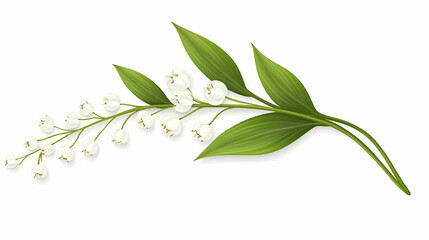 Obraz premium Lily of the valley sprig, delicate white flowers and green leaves, isolated on white background, perfect for wedding invitations or floral designs