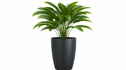 Obraz premium Lush green plant in dark pot, white background, office setting, interior decoration