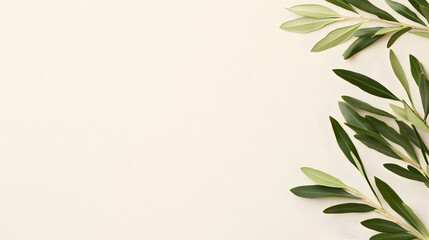Fototapeta premium Olive branches border on beige background, copy space for text, peaceful nature design
