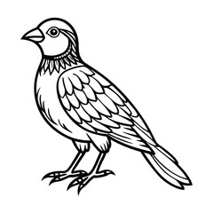 vector illustration of a bird