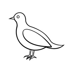 vector illustration of a bird