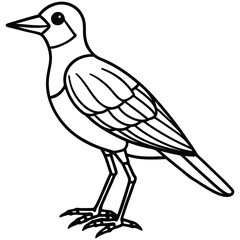 bird on a branch vector illustrator