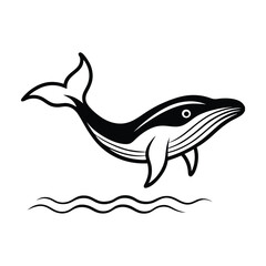 dolphin vector illustrator