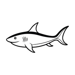 dolphin line art vector illustrator