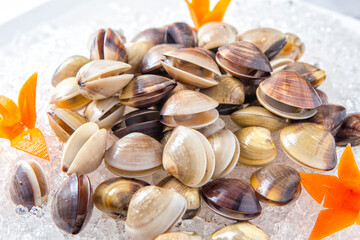 Fresh Clams on Ice with Decorative Orange Flowers Arrangement