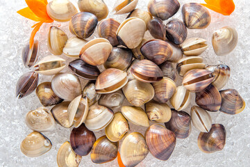 Assorted Fresh Clams on Ice with Colorful Garnish