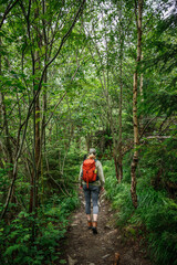 Obraz premium Woman hiking in forest. Female hiker with backpack enjoying outdoor adventure and nature exploration