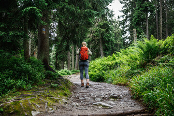 Obraz premium Woman hiking in forest. Trekking trail marker or footpath sign on tree
