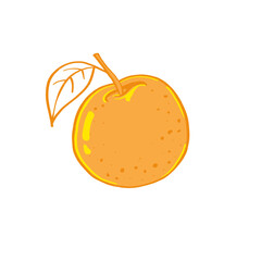Illustration vibrant orange isolated