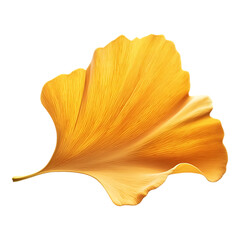 Fototapeta premium PNG Golden Ginkgo Leaf Against Transparent Background for Nature, Autumn, or Botanical Design Projects