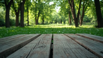 Obraz premium bench in the park