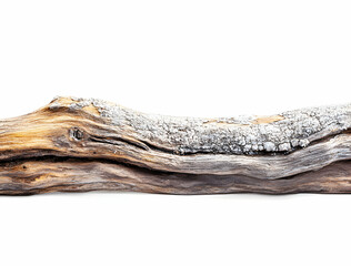 Fototapeta premium Detailed Close-up of a Weathered Driftwood Piece