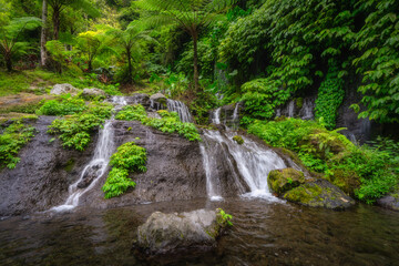 Experience the breathtaking beauty of a waterfall cascading over rocks, surrounded by lush greenery...