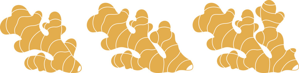 Ginger logo. Isolated ginger on white background