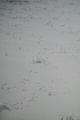 Close - up shots of the snow surface and snowflakes