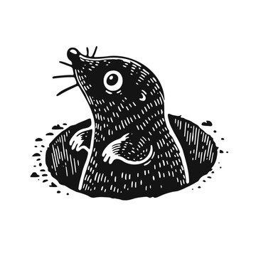 recommend clip art: сute mole peeking out of its underground home hole, sketch
