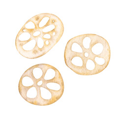 Lotus root peeled and sliced, dried. Asian food. Isolated on background watercolor monochrome hand drawn illustration. For decoration, design, packaging, logo