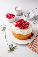 Homemade classic victoria vanilla sponge cake or biscuit or pie decorated with whipped cream and fresh strawberries on top on a light background. Summer dessert. Copy space. Selective focus.