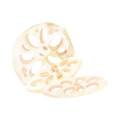 Lotus root peeled and sliced. Asian food. Watercolor monochrome illustration isolated on background. Hand drawn composition. For decoration, design, packaging, logo