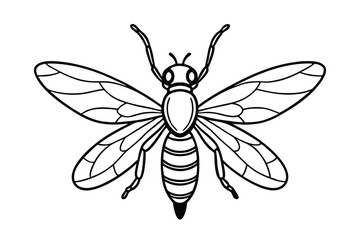 Antigonon Leptopus Design 