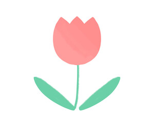 赤いチューリップの花