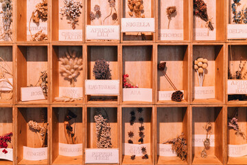 Obraz premium Plant samples