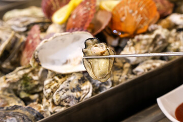 Korean seafood food. Steamed oysters and scallops