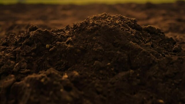 Dramatic video panning over a clay loam soil, exhibiting clumpy structures with visible organic matter and a rich, dark brown color