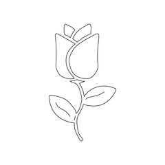 Rose Line Art Illustration Vector With White Background.