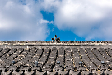 roof of the old house