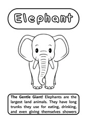 Obraz premium Elephant Coloring Page