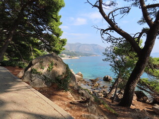 Vista del mar desde la sombra de los pinos en Croacia