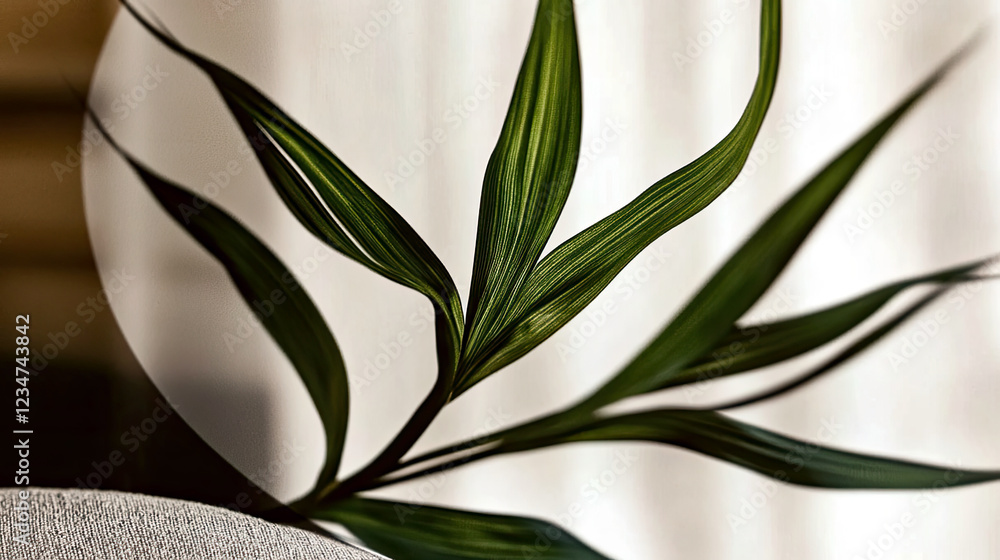 Poster exquisite palm leaf shadow embracing a serene white canvas for creative expression