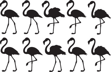A variant style of flamingo silhouette vector, flamingo bird silhouette black, flat birds icon illustration design, isolated on a white background