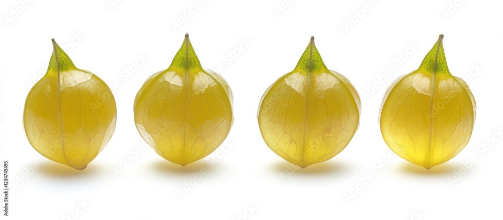 Aufkleber yellow tomatillos arranged in a row on a white background with copy space for text.