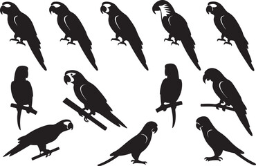 A variant style of parrot silhouette vector, flying and sitting bird silhouette, flat birds icon illustration design, isolated on a white background.