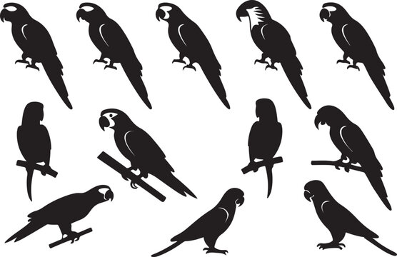 A variant style of parrot silhouette vector, flying and sitting bird silhouette, flat birds icon illustration design, isolated on a white background.