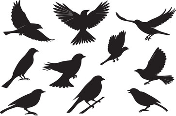 A variant style of sparrow silhouette vector, flying bird silhouette, flat birds icon illustration design, isolated on a white background.