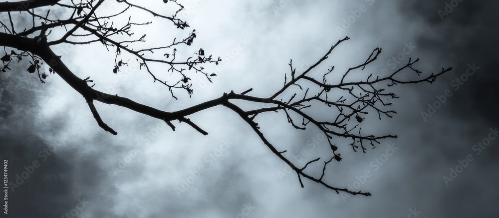 Poster bare tree branch silhouette against a cloudy sky with dramatic lighting and ample copy space for tex