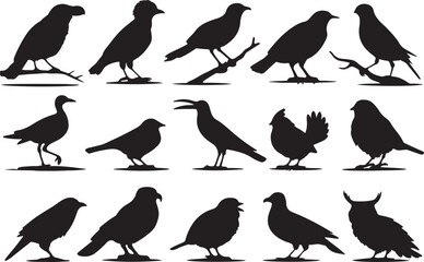 Obraz premium Bird silhouette vector set.