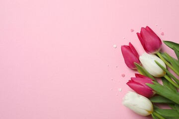 Fototapeta premium Beautiful fresh tulips on color background