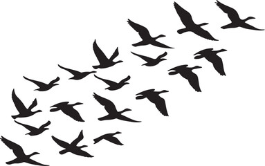 Flock of flying bird silhouette vector illustration design, birds flying symbol, bird outline, isolated on a white background.