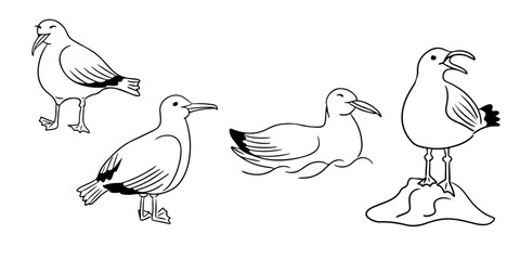 Set of seagull doodles in black and white with various poses including standing, swimming, and perching on a rock, showcasing a minimalistic and coastal theme