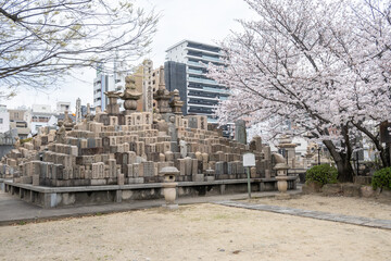 A pyramid of weathered stone grave markers and small Buddha statues and cherry blossom trees near Shitenno-ji Temple in Osaka, Japan.