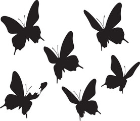  butterfly vector