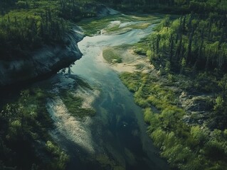 Aerial view of a winding river flowing through a lush green landscape with dense trees