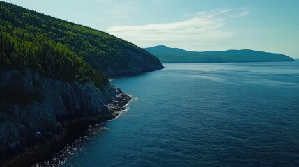 Fototapeta premium Coastal landscape with rocky cliffs, dense forest, and a vast ocean view under a blue sky