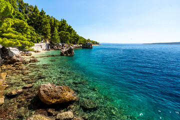 Fototapeta premium Croatia, Dalmatia, Brela - 10 august 2024 - The lush nature in Brela in Croatia