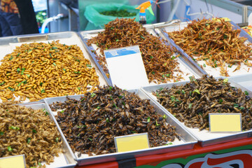 Assorted Fried Insects at a Traditional Market