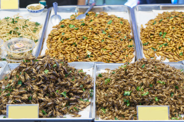 Assorted Fried Insects at a Traditional Market